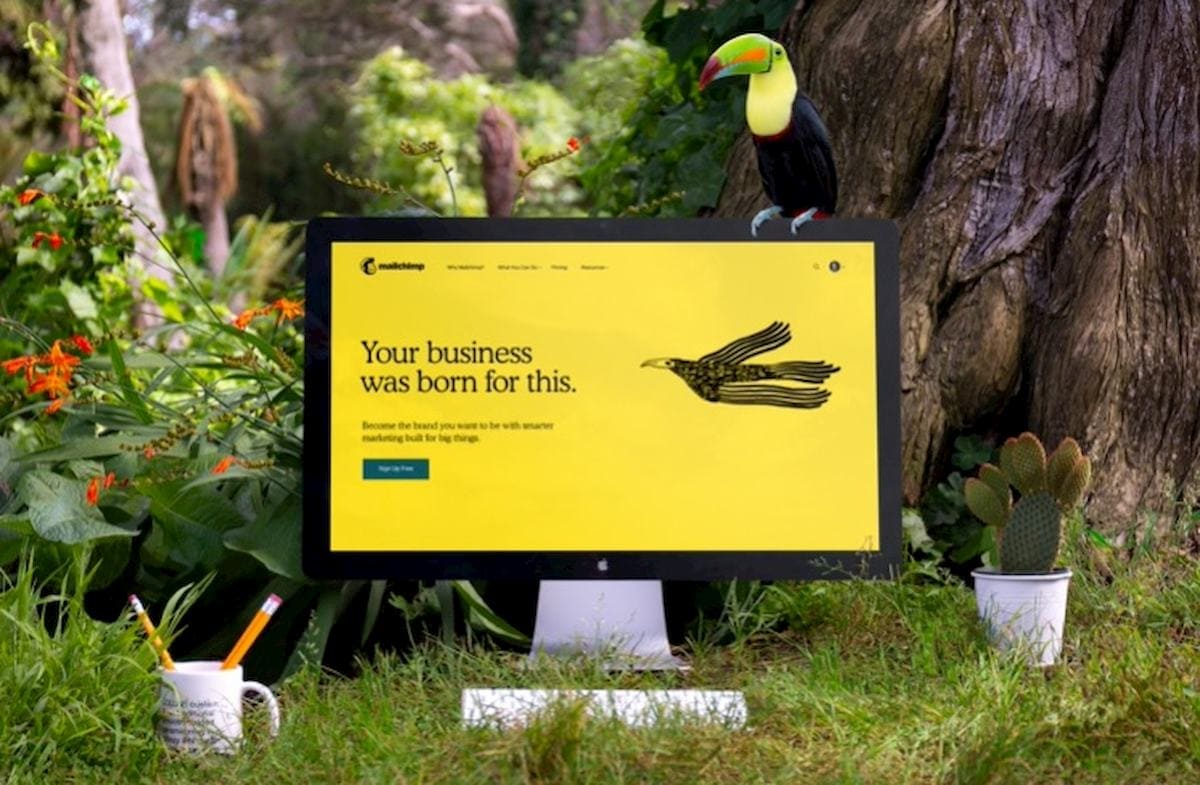 Tutorial Mailchimp Espanol